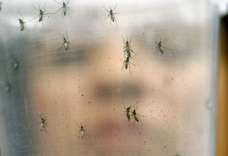 Zika Version Final