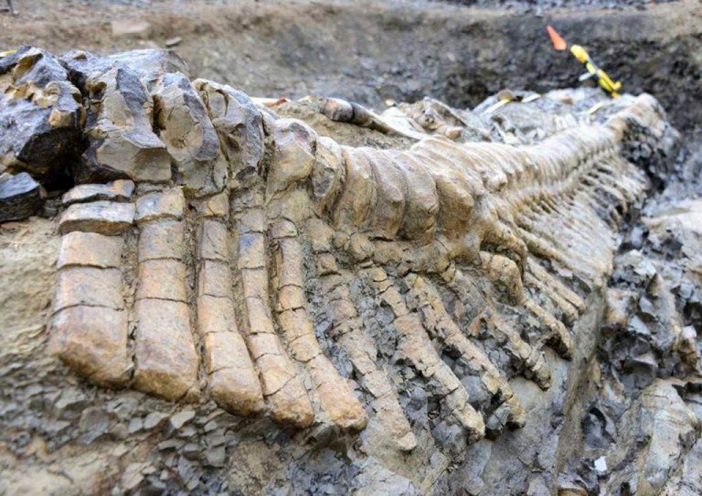 Dinosaurio-mamut-México1--VERSION FINAL