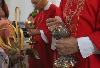 HM DOMINGO DE RAMOS 2016 (FOTO.HUMBERTO MATHEUS)7