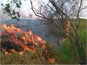 Imagen1 FOTOS FOCOS DE INCENDIO SECTOR TUKUKO SIERRA DE PERIJA.jpg 2.jpg 4