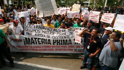 JP-AVIPOLLO-PROTESTA-FALTA-DE-MATERIA-PRIMA-PALACIO-DE-LOS-CONDORES-FOTO.JAVIER-PLAZA-730x410