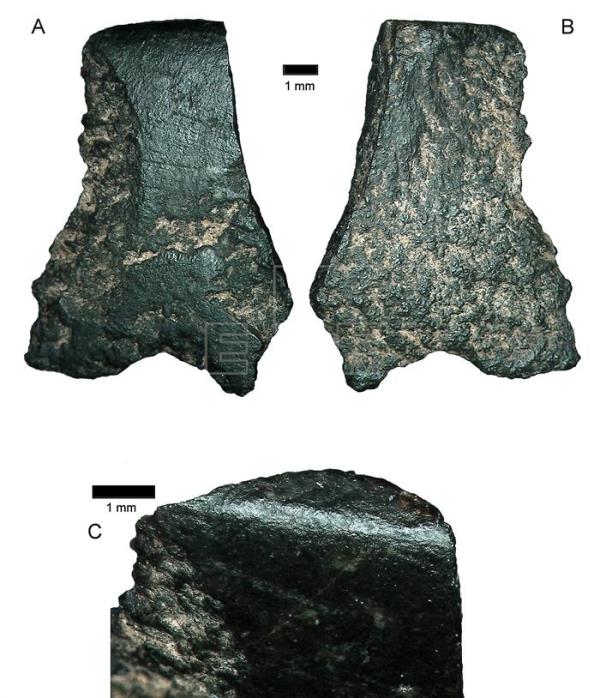 Imagen de fragmentos de una herramienta de 50.000 años de antigüedad vistos a través de un microscopio.
