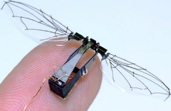 Bautizado como RoboBee (roboabeja), pesa unos cien gramos, es capaz de posarse en superficies como el cristal.