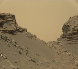 pia21042