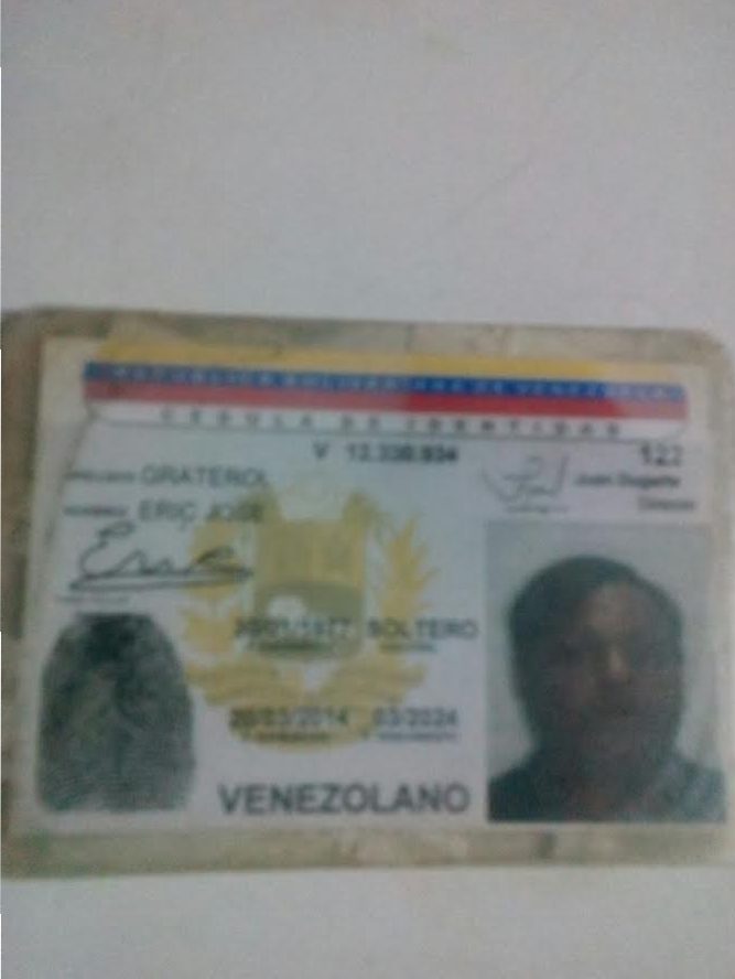 arrollado