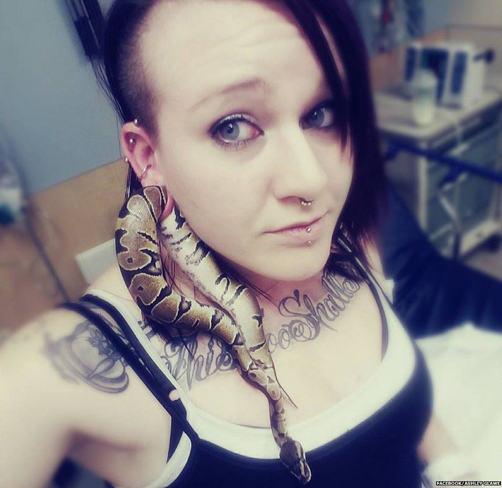 serpiente-oreja-versionfinal