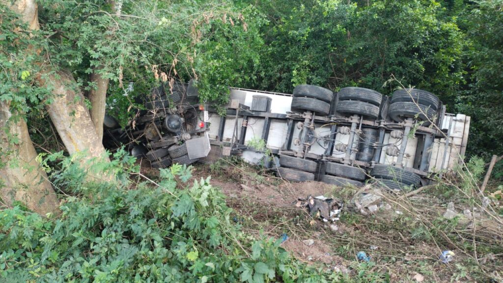 El chofer de la gandola frenó en seco, pero no pudo evitar el choque y cayó al vacío. (Foto: Diario del Norte)